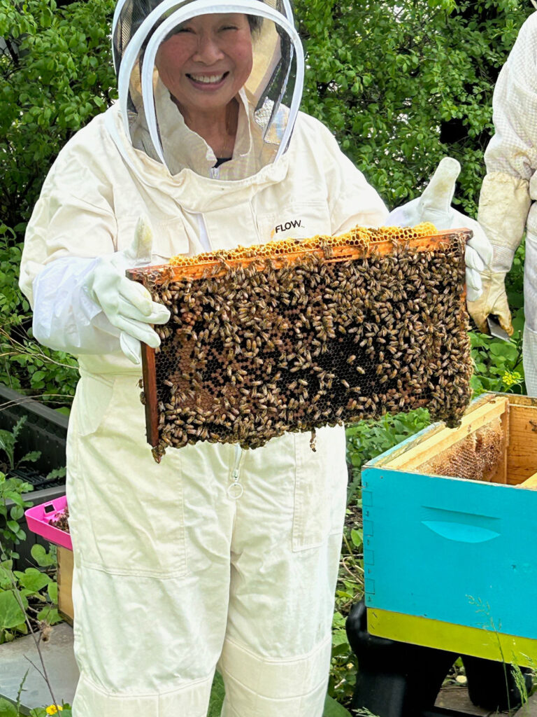 Beekeeping at Plymouth Place