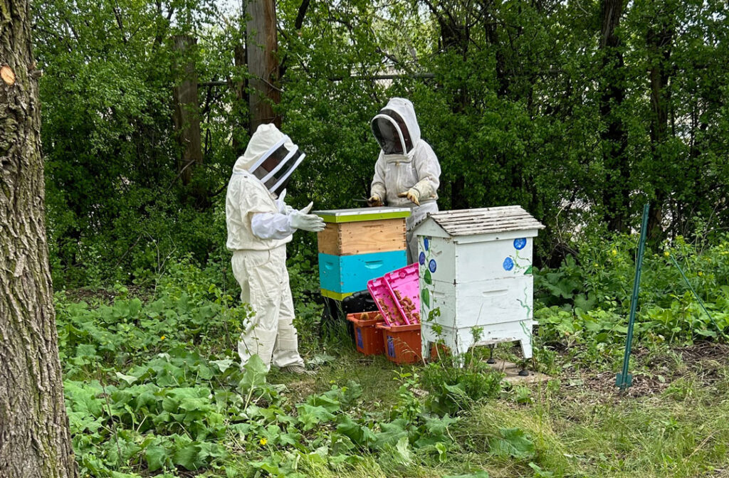 Successful Beekeeping