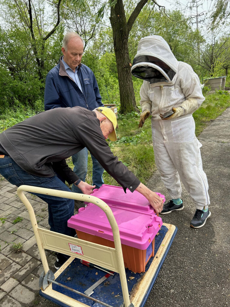 Transporting Bee Hives